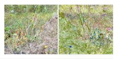 SITE_SERIE2_3a_AC-gareSAINTSAUVEUR20162-a