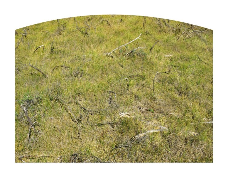 SITE_HIERO2_Jaune2versionsen-PSDtureINCONNUE
