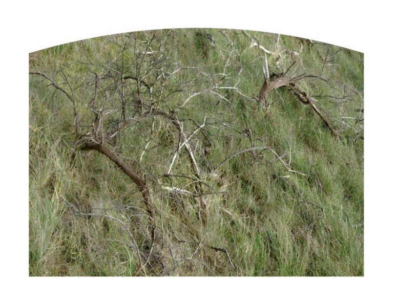 SITE_Sans-titre-9a1