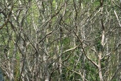 site2