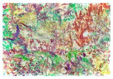 site3broderie1