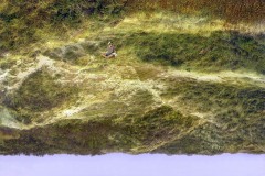 1_site2