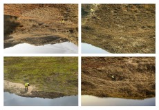 2025__envers3__1-copieSINGULART