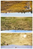 2_site2