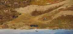 SITEa_PAYSAGE_DSC00858_859-copie1-copie