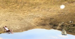 SIte