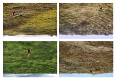 fev2020BERCKbase-copie1-copie