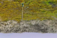 site10