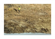 site14