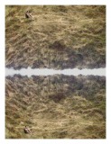 site5
