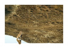 site8