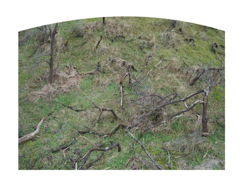 HSITE_IERO7__sans-titre-14-DSC06590