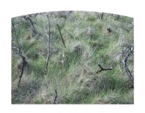 SITE_DSC06572_2em_2025