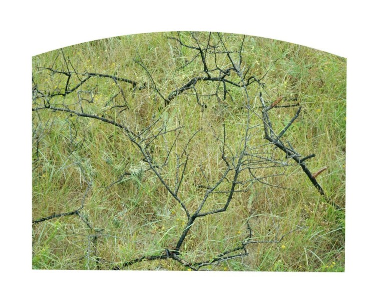 SITE_HIERO1_DSC06431