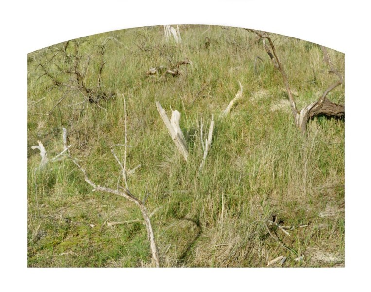 SITE_HIERO3art-majeur-hieroglyphe-12