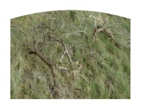 SITE_Sans-titre-9a1