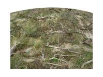 hieroglyphe-nature-art-paysage-photographi-espace-1