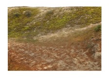 horizon_art_espace_paysage_nature-2