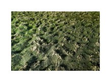 horizon_art_espace_paysage_nature-5