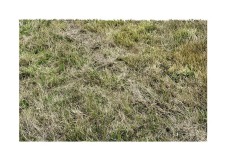 solHERBE2_2019-copie