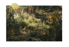 SITEDSC00051a1