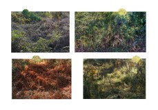 SITE_DSC09402_2020-copie