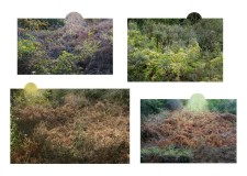 SITE_enferROUGE2a__DEF2025-copie