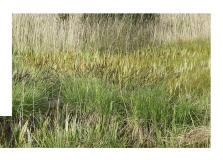 art_hors_champ_off_camera_nature-8