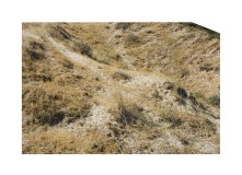 cadre-coupe-nature-espace-paysage-matiere-4