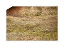 cadre-coupe-nature-espace-paysage-matiere-5