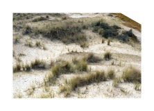 cadre-coupe-nature-espace-paysage-matiere-8
