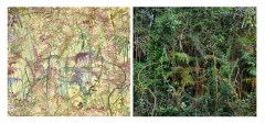 SITEguilande10tofs_20161