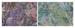 sitecontraires2
