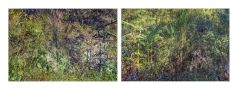 sitecontraires4VIGNON-panaorama-2016_retrecie
