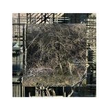 art-conceptuel-confronte-nature-urbain-et-evacue-le-sens-6