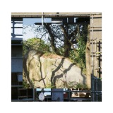 art-conceptuel-confronte-nature-urbain-et-evacue-le-sens-4