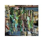 art-conceptuel-confronte-nature-urbain-et-evacue-le-sens-9