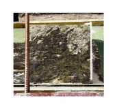 art-conceptuel-confronte-nature-urbain-et-evacue-le-sens-13