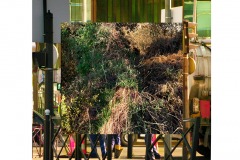 urbain-nature-espace-cadre-art-photographie-paysage-15