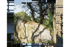 urbain-nature-espace-cadre-art-photographie-paysage-3