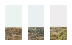 pantone-art-nature-paysage-ciel-espace-horizon-2