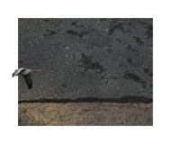 bitume_paysage_asphalt_landscape-hors-cadre-urbain-3