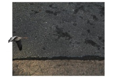 bitume_paysage_asphalt_landscape-hors-cadre-urbain-3