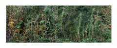 BDguilande10tofs_2016_20231