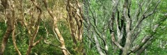 DSC09663_2024-copie-ptif1-copie2
