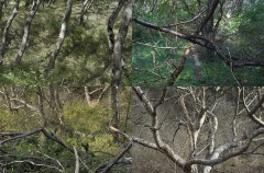 SITE_Artcyclepaysagessoudes2V2HD-copie-2