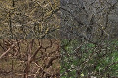 SITE_DEFDEF___DSC09720V2-HD-21-copie