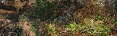SITE_picto20302018-DSC01816-20181-copie