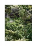 SITEaDSC05432HD