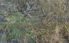 SITEpiece-vide-mur-gris-plancher-bois18